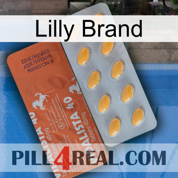 Lilly Brand 43.jpg